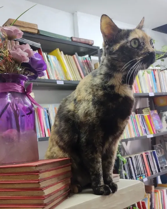 Fiona veio me visitar no trabalho!