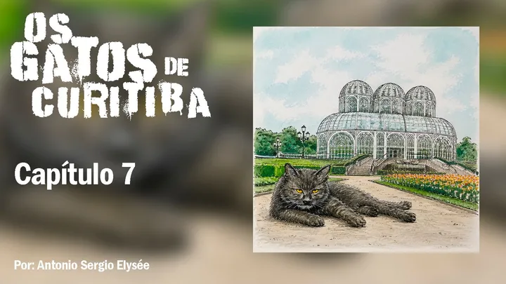 Os gatos de Curitiba, capítulo 7