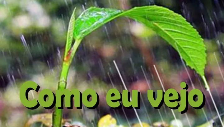 Como eu vejo...