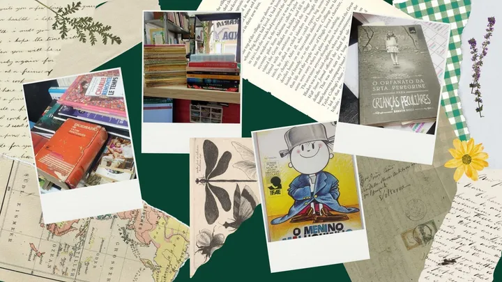 Diário do Sebo: Catalogar livros e a distração