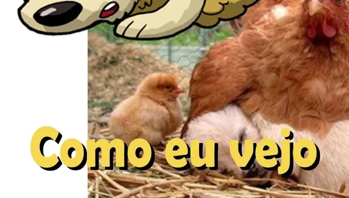 Como eu vejo