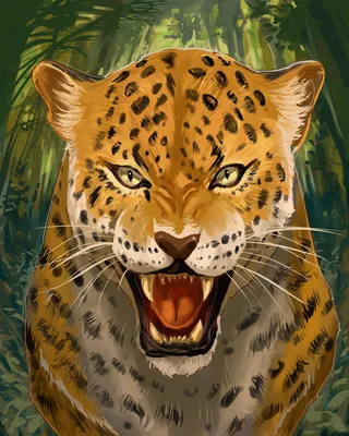 🐆 ONÇA PINTADA — Mulheres na Ciência