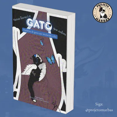 Livro Físico Capa 1 (Arte por Shimahydra)