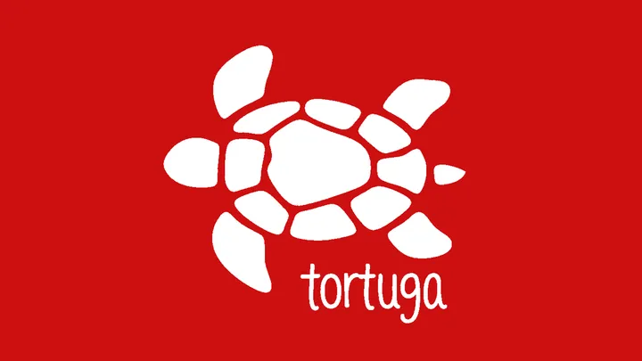 A TORTUGA ESTÁ DE VOLTA!