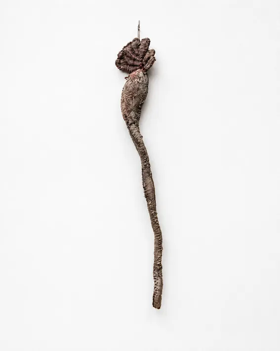 FLOR DE LÓTUS, 2005 — ÚLTIMA SÉRIE

Eliane Duarte, Flor de lótus, 2005. Tecido, estopa, barbante, cera de abelha e pigmento. A obra pertence à última série desenvolvida pela artista, no período final de sua vida, e concentra elementos fundamentais de sua linguagem: corpo, pele, matéria, costura, natureza, espiritualidade e transformação.

No texto crítico da exposição Reza, realizada pela Central Galeria em 2024, Catarina Duncan situa Flor de lótus entre os trabalhos desenvolvidos no fim da vida de Eliane e interpreta sua produção como um universo de objetos, amuletos e rezas, no qual a costura deixa de ser um fazer doméstico para assumir uma dimensão corporal, visceral e política. Para a curadora, Eliane transforma materiais naturais, restos e tecidos em organismos que articulam o feminino, a natureza e o sagrado.

É especialmente significativo que Flor de lótus dê hoje nome ao filme. A última série de Eliane torna-se a chave para revisitar toda a sua trajetória: uma obra criada diante da proximidade da morte que permanece ligada à ideia de renascimento, permanência e transformação. A Central Galeria considera sua produção um legado da arte contemporânea brasileira e ressalta a necessidade de reinseri-la na memória de sua geração.

Flor de lótus, 2005 — Eliane Duarte. Foto: Ana Pigosso / Cortesia Central Galeria.