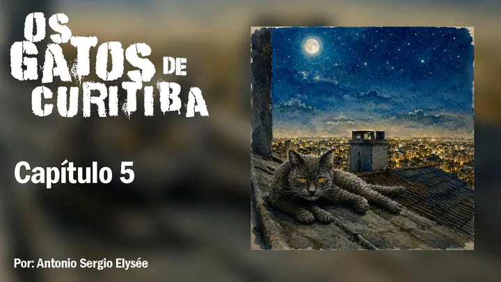 Os Gatos de Curitiba - Capítulo 5
