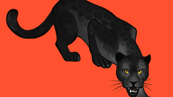 O gato brasileiro - Arthur Conan Doyle