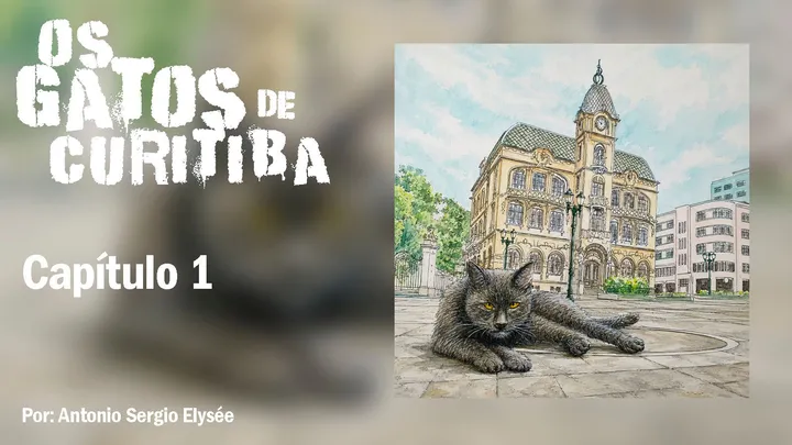 Os Gatos de Curitiba - Capítulo 1