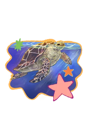 🐢 TARTARUGA MARINHA — Contra a Poluição dos Mares
