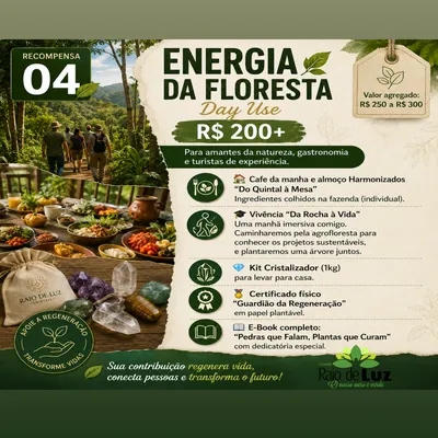 🌿 ENERGIA DA FLORESTA