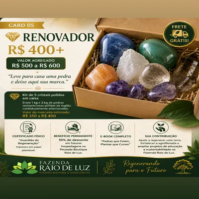 💎 O RENOVADOR