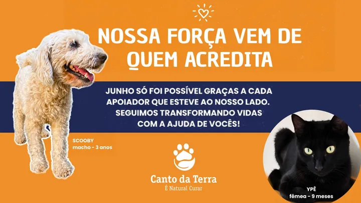 Gratidão por estarem conosco durante o mês de junho 💚