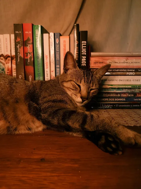 Literatura cria pensamento crítico?