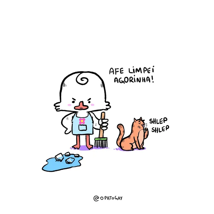 A chegada do gato laranja