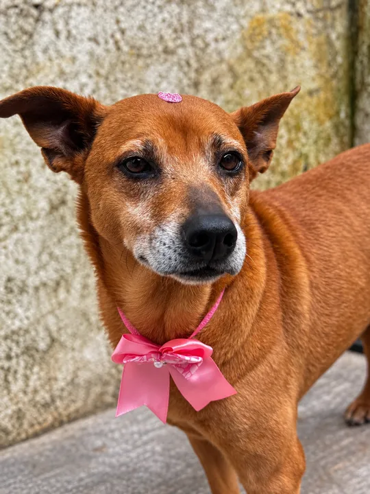 Reward