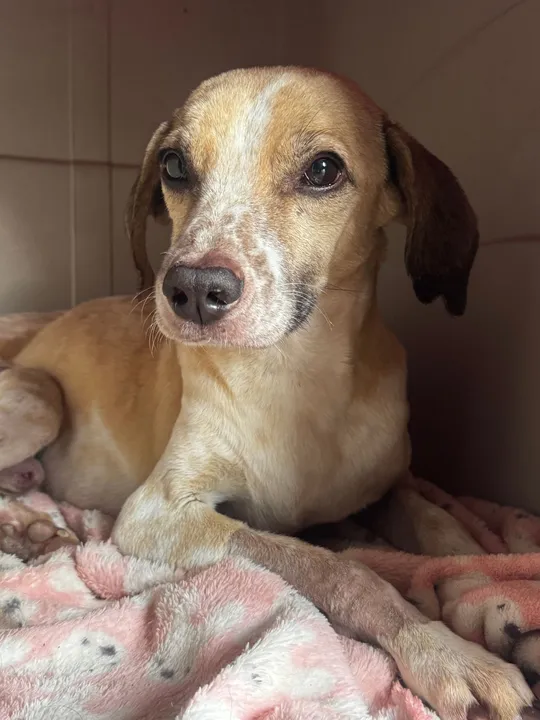 Reward