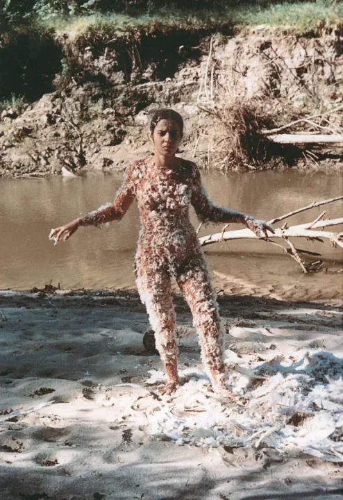 Você conhece Ana Mendieta?