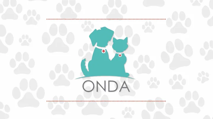 DOAÇÃO ONDA ANIMAL