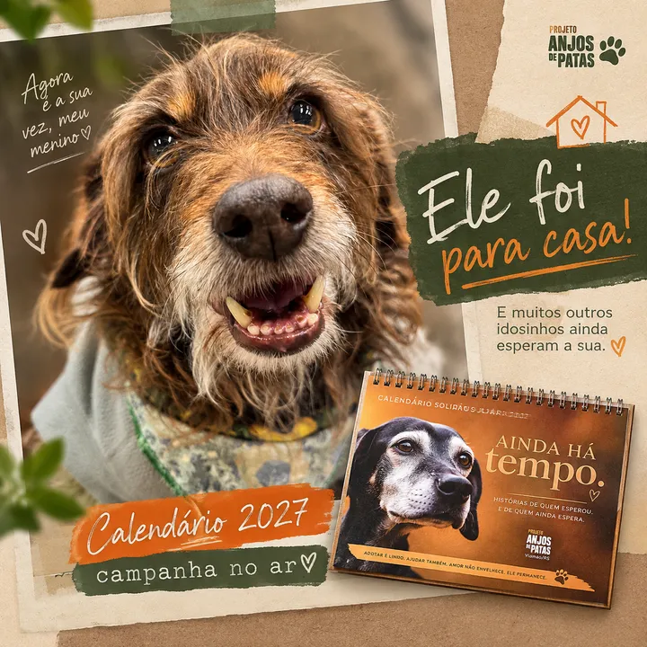 Em 3 dias, dobramos: já são 30%! 🐾
