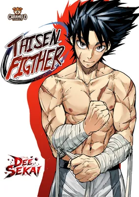 Taisen Figther