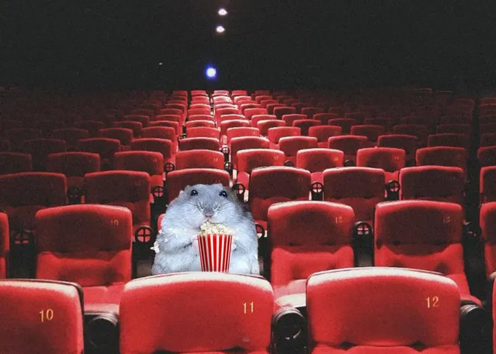 HOJE: SESSÃO CINEMA 01 + SORTEIO