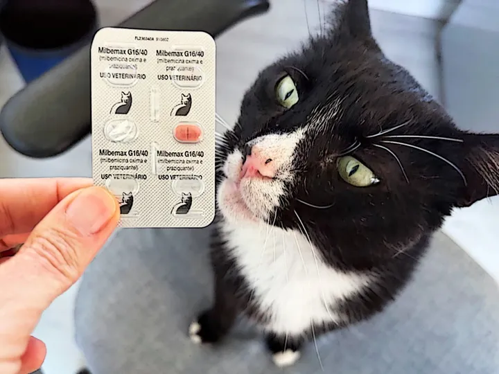 Vermífugo palatável para gato difícil