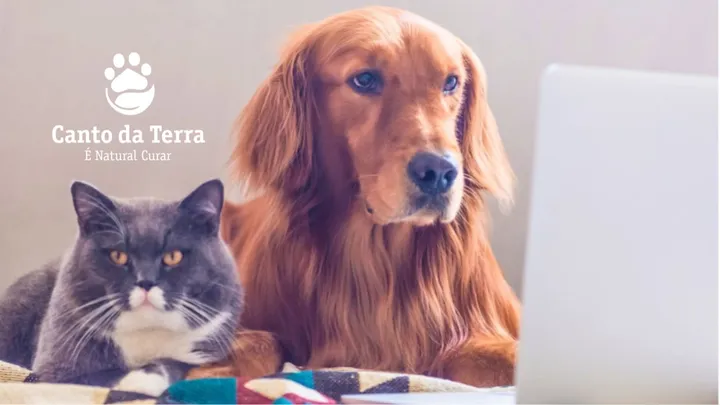 Importante: confira sua assinatura no Catarse