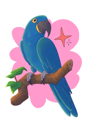 🦜 ARARA-AZUL — Ciência Antirracista