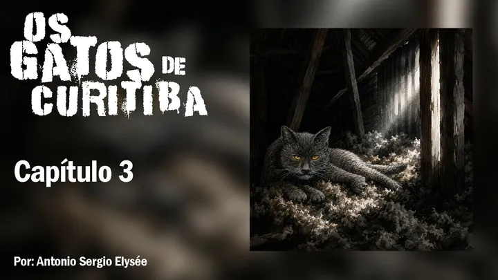 Os Gatos de Curitiba - Capítulo 3