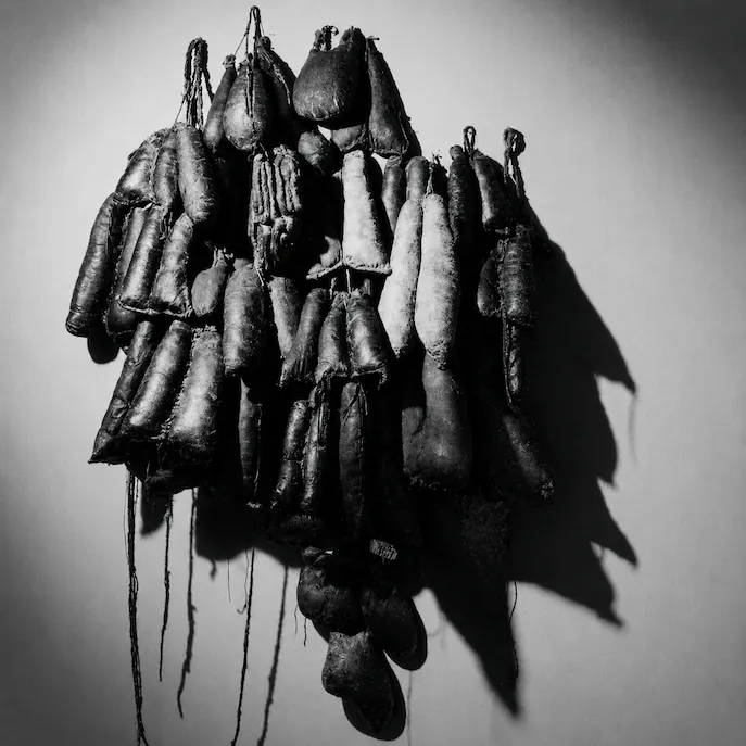 ELIANE DUARTE — ÓRGÃOS
Em Órgãos, costura e matéria constroem uma anatomia sem corpo. Formas biomórficas se acumulam como vísceras, casulos, frutos ou fragmentos de um organismo em transformação. Viviane Matesco reconhece nessa produção a tensão entre atração e repulsa, vida e morte; Catarina Duncan aproxima a costura visceral de Eliane do gesto cirúrgico. A matéria é cortada, preenchida e suturada até deixar de ser superfície e adquirir pele, volume e presença.