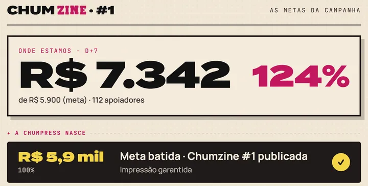 NOVAS METAS E PRÓXIMOS PASSOS