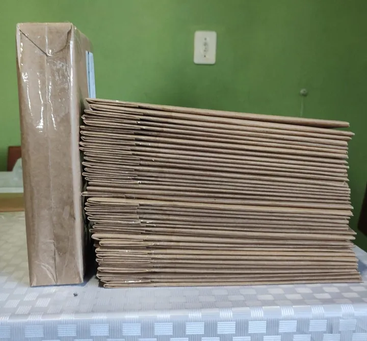 A revista "Penitente e Monte Castelo: Abismos" foi postada nos Correios no dia 10/09/2026