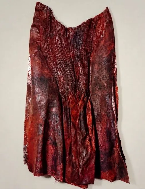 ELIANE DUARTE — VESTE, 1993
Pigmento, lona e sisal
180 × 160 cm (dimensões variáveis)
1º Prêmio / Prêmio Viagem ao Exterior — XIV Salão Nacional de Artes Plásticas, Funarte, 1994
Coleção Funarte, Rio de Janeiro

Veste marca um momento decisivo na trajetória de Eliane Duarte. A superfície deixa de operar apenas como suporte e passa a adquirir espessura, pele e corpo. A maceração da matéria, que se tornaria central em sua poética, já aparece aqui como transformação: entre pintura e objeto, tecido e organismo, proteção e presença. A premiação no XIV Salão Nacional, em 1994, projetou a artista no cenário brasileiro e antecedeu a circulação internacional que sua obra alcançaria nos anos seguintes.

Essa é a formulação que eu usaria como galerista: primeiro a ficha técnica limpa; depois um único parágrafo que situa a importância histórica da obra sem exagerá-la.
