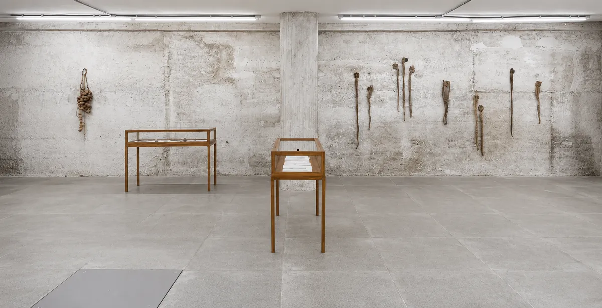 ELIANE DUARTE — UMA OBRA QUE CONTINUA EM CIRCULAÇÃO

Quase vinte anos após sua morte, a obra de Eliane Duarte voltou a ocupar importantes espaços da arte contemporânea. Em 2024, a individual Reza, na Central Galeria, reabriu sua produção a novas leituras, com texto crítico de Catarina Duncan. Em 2025, participou de Quebracorpo, na Carpintaria / Fortes D’Aloia & Gabriel, e de Elas, no MAC Niterói, ao lado de Adriana Varejão, Lygia Pape, Nazareth Pacheco e outras artistas brasileiras. Entre 2025 e 2026, sua obra voltou a Paris na histórica Exposition Générale da Fondation Cartier, no Palais-Royal. Eliane partiu em 2006. Sua obra continua encontrando novos espaços, novas leituras e novas gerações.