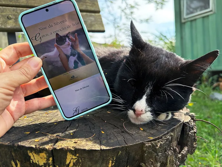 Cluboca do Livro: quando gatos viram coterapeutas