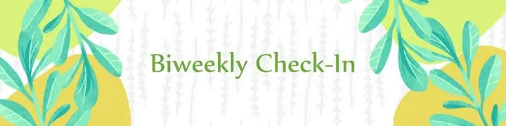 Check-in Quinzenal #12