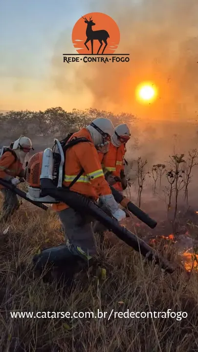 APOIE A REDE CONTRA FOGO NO CATARSE